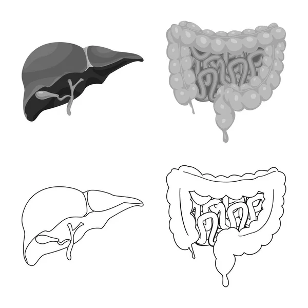 Ilustración vectorial del cuerpo y el logotipo humano. Colección de cuerpo y vector médico icono para stock . — Archivo Imágenes Vectoriales
