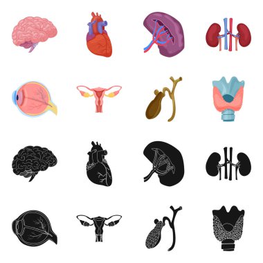 Vücut ve insan sembolü yalıtılmış nesne. Vücut ve tıbbi hisse senedi vektör çizim.