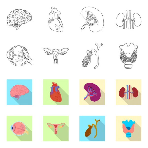Ilustración vectorial del cuerpo y del símbolo humano. Conjunto de cuerpo y símbolo de stock médico para web . — Vector de stock