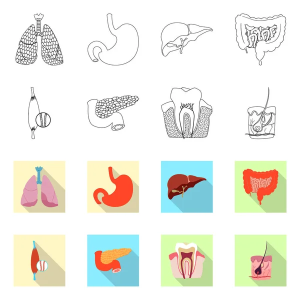 身体和人的符号的向量例证。网络的身体和医疗股票符号集. — 图库矢量图片