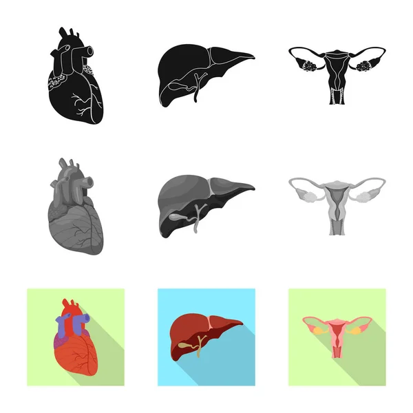 Illustrazione vettoriale del corpo e del segno umano. Set di illustrazione vettoriale corpo e stock medico . — Vettoriale Stock