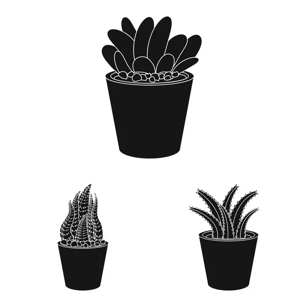 Objet isolé de cactus et symbole de pot. Collection de cactus et de cactus symbole stock pour le web . — Image vectorielle