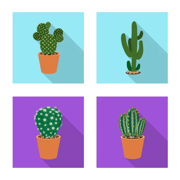 Vector illustration of cactus and pot symbol. Collection of cactus and cacti stock symbol for web. — Stock Vector