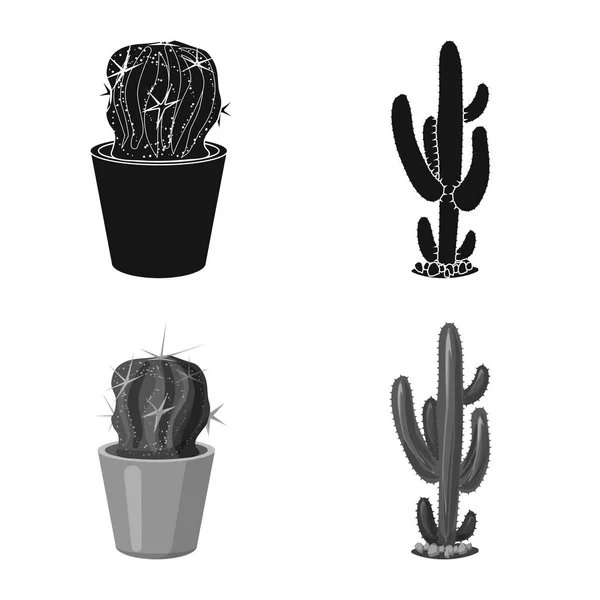 Geïsoleerde object van cactus en pot symbool. Set cactus en cactussen aandelensymbool voor web. — Stockvector