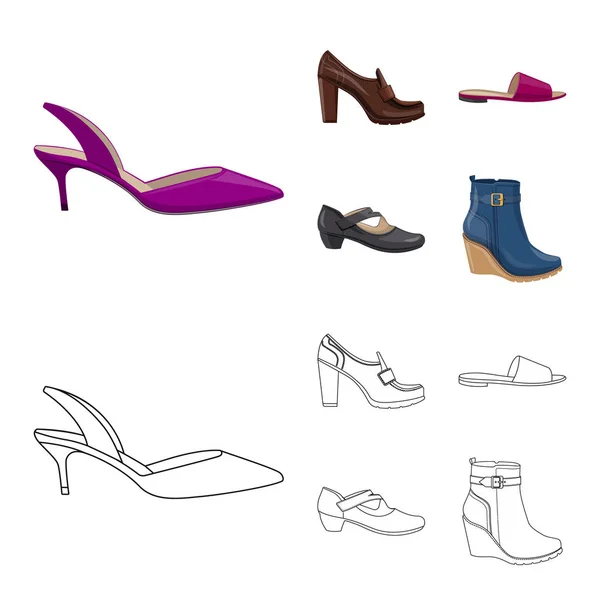 Векторні ілюстрації взуття та жіночого знаку. Колекція взуття і ноги Векторні значки на складі . — стоковий вектор