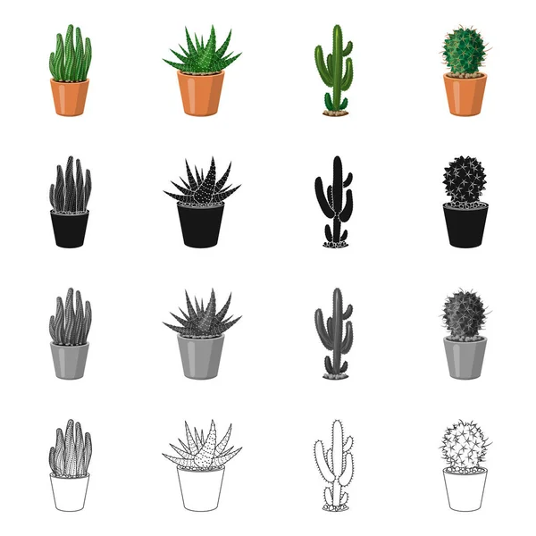 Izolovaný objekt kaktus a květináč symbolu. Sada kaktus a kaktusy vektorové ikony pro stock. — Stockový vektor