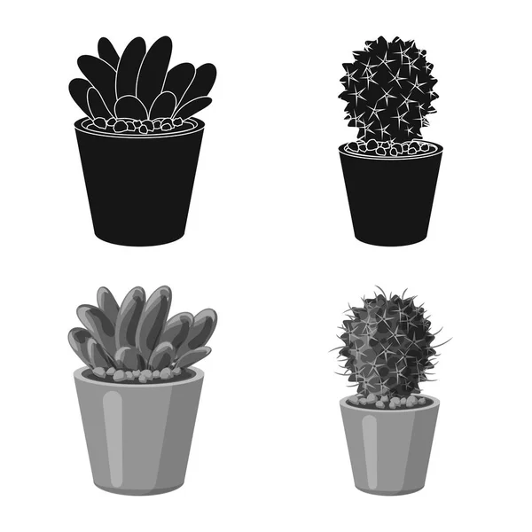 Ilustracja wektorowa ikona Kaktus i doniczkę. Kolekcja kaktusów i kaktusy wektor ikona na magazynie. — Wektor stockowy