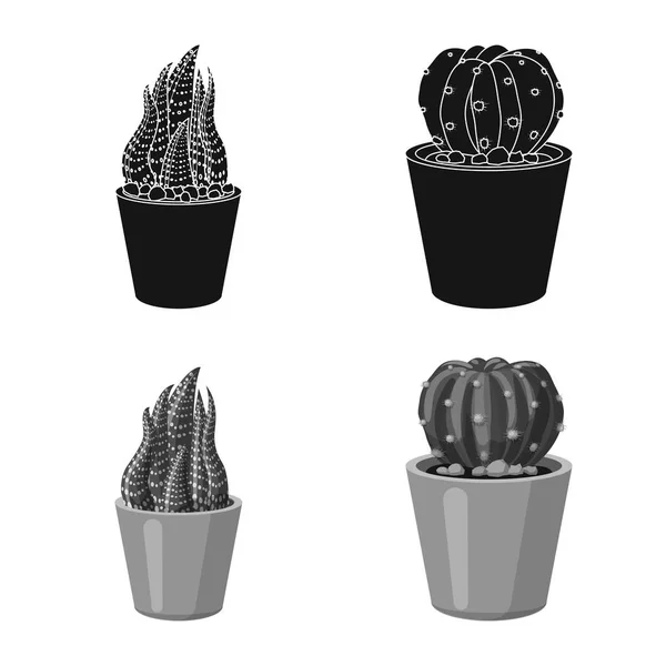 Objet isolé de cactus et logo de pot. Collection de cactus et de cactus illustration vectorielle de stock . — Image vectorielle