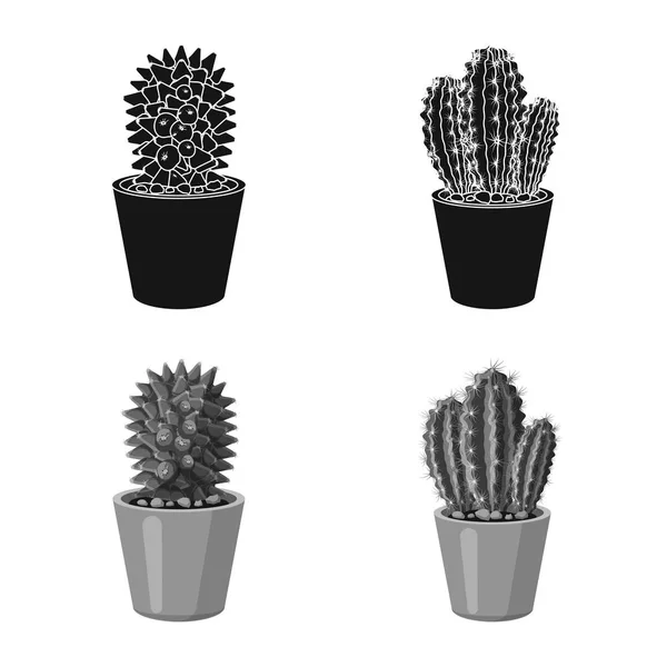 Diseño vectorial de cactus y logotipo del pote. Conjunto de ilustración vectorial de cactus y cactus . — Archivo Imágenes Vectoriales