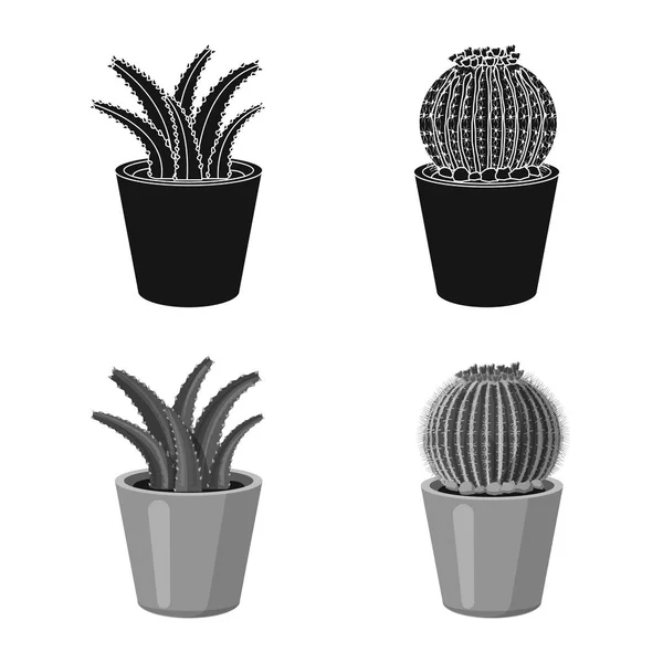 Vector ontwerp van cactus en pot symbool. Collectie van de cactus en cactussen van de voorraad symbool voor web. — Stockvector