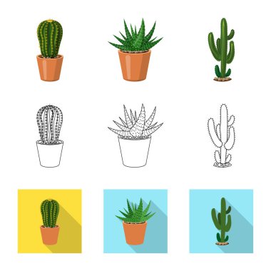Kaktüs ve pot logo vektör tasarımı. Kaktüs ve kaktüsler koleksiyonu stok web simgesi.