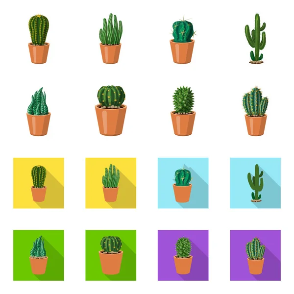 Vector afbeelding van de cactus en pot teken. Verzameling van cactus en cactussen voorraad vectorillustratie. — Stockvector