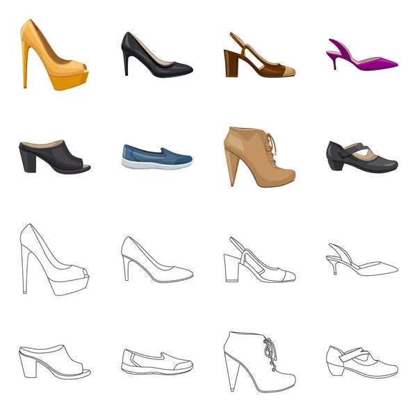 Conception vectorielle des chaussures et symbole de la femme. Ensemble de chaussures et symbole de stock de pied pour la toile . — Image vectorielle