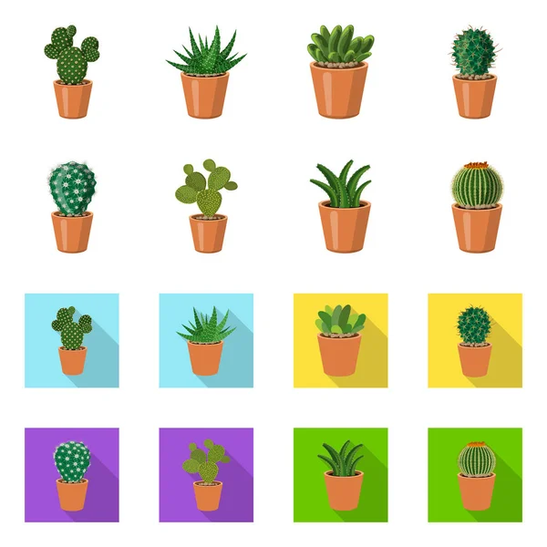 Diseño vectorial de cactus y maceta. Conjunto de ilustración vectorial de cactus y cactus . — Archivo Imágenes Vectoriales