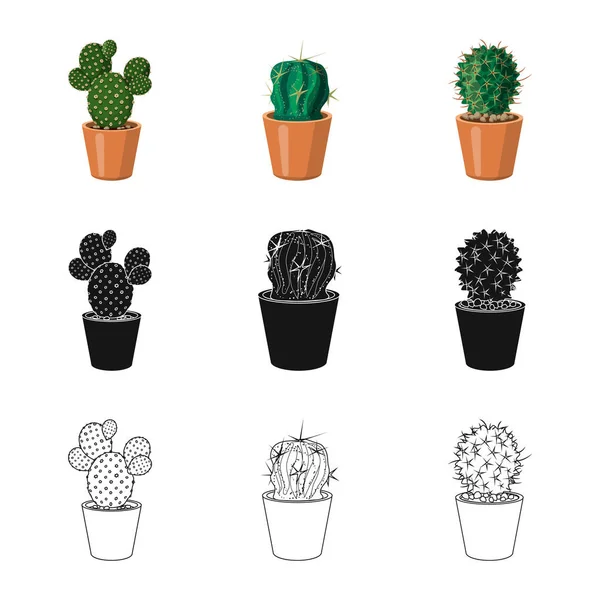 Vektorová design loga kaktus a květináč. Kolekce kaktusů a kaktusy vektorové ilustrace. — Stockový vektor