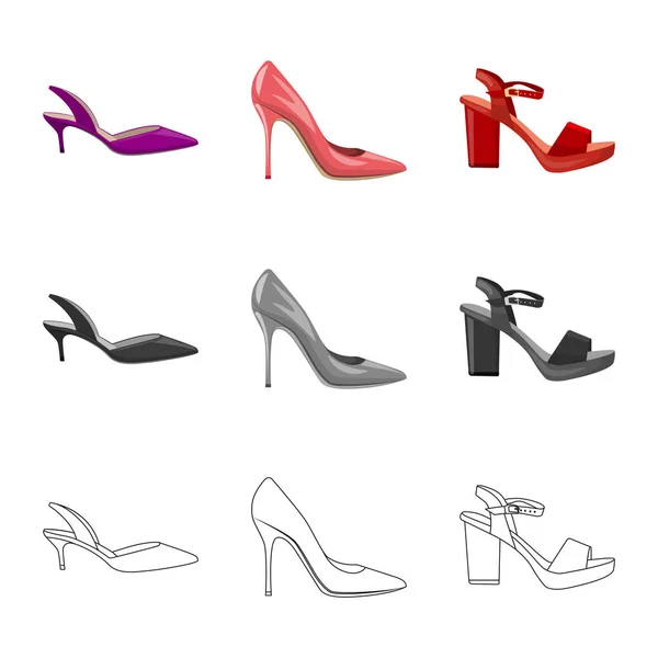 Векторный дизайн обуви и женской иконы. Набор значков вектора обуви и ног для склада . — стоковый вектор