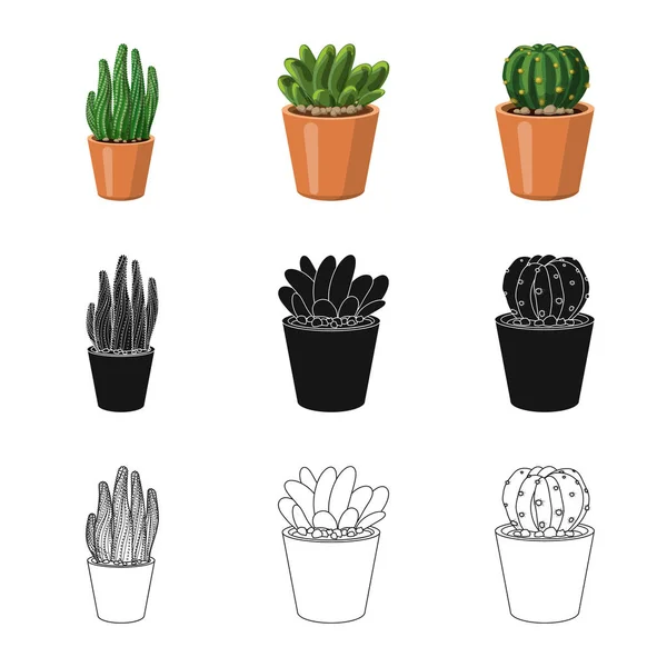 Vektorová design loga kaktus a květináč. Kolekce kaktusů a kaktusy vektorové ikony pro stock. — Stockový vektor