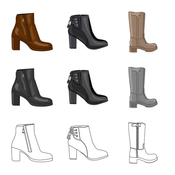 Objeto aislado de calzado y logotipo de mujer. Conjunto de calzado y pie símbolo de stock para web . — Vector de stock