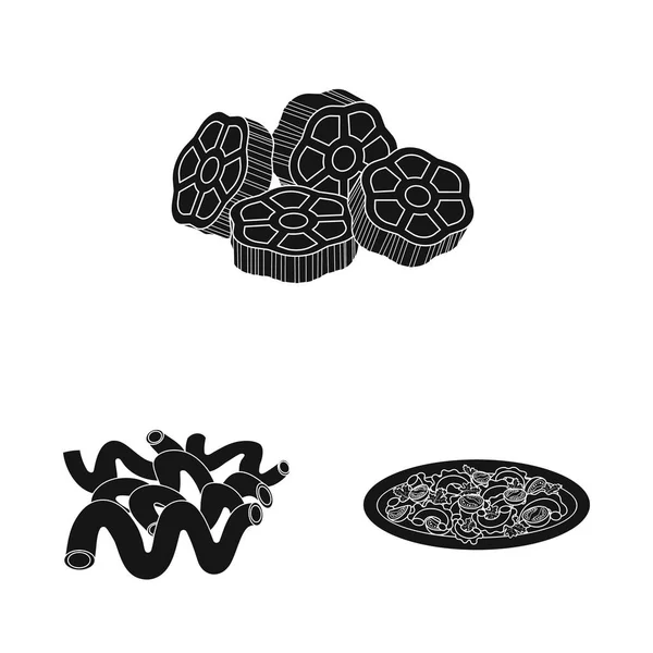 Ilustración vectorial de pasta y símbolo de carbohidratos. Set de pasta y macarrones para web . — Archivo Imágenes Vectoriales