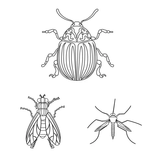Isolerade objekt av insekt och flyga logotyp. Uppsättning av insekts- och elementet lager vektorillustration. — Stock vektor