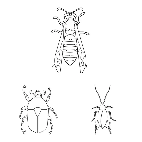 Böcek ve sinek sembolü yalıtılmış nesne. Böcek ve öğe hisse senedi vektör çizim seti. — Stok Vektör