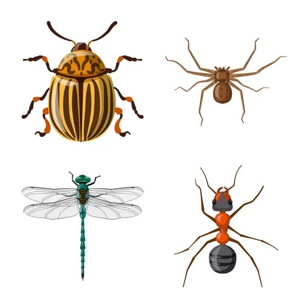 Diseño vectorial del logotipo de insectos y moscas. Colección de insectos y elemento vector icono para stock . — Vector de stock