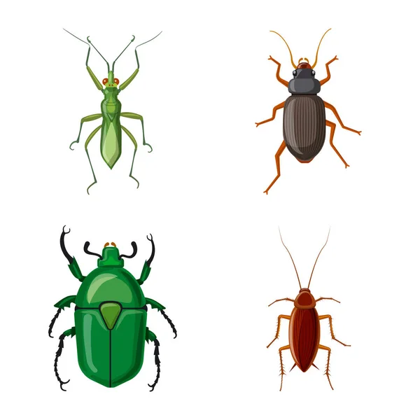 Vectorillustratie van insecten en vliegen symbool. Set insect en element vector pictogram voor voorraad. — Stockvector