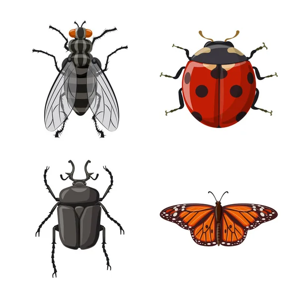 Geïsoleerde object van insecten en vliegen symbool. Set insect en element voorraad vectorillustratie. — Stockvector