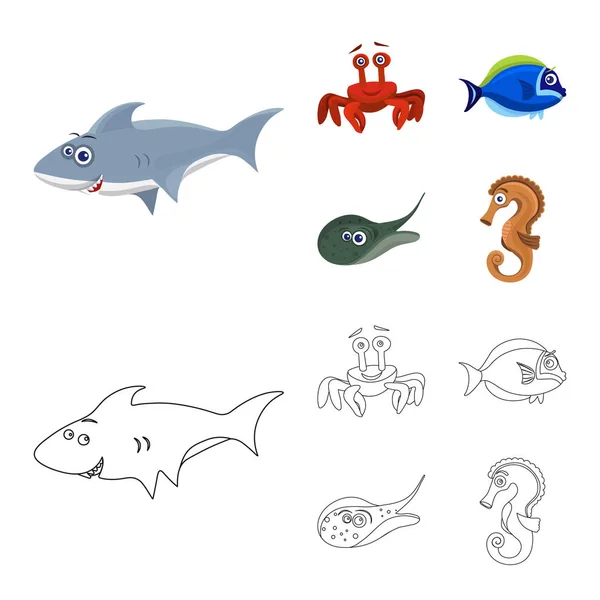 Objeto aislado del icono del mar y los animales. Colección de ilustración de vectores marinos y marinos . — Vector de stock