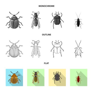 Böcek ve sinek simge vektör tasarımı. Böcek ve öğe hisse senedi vektör çizim topluluğu.