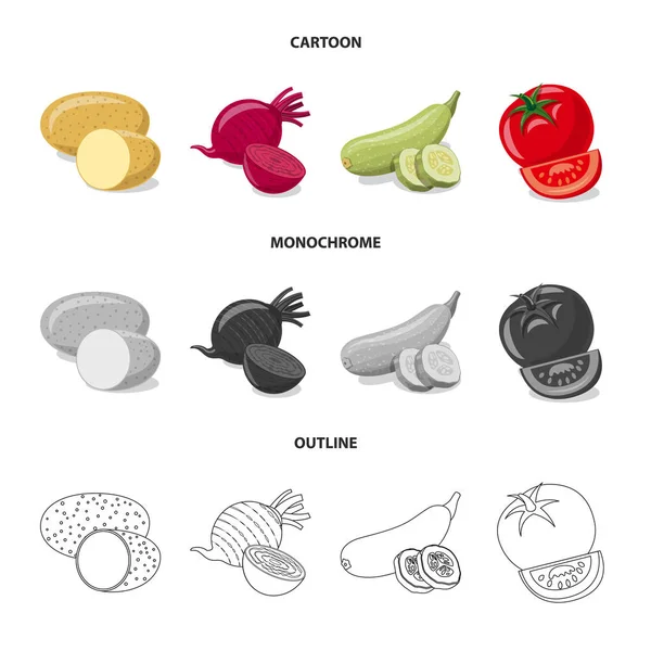 Ilustración vectorial del icono de frutas y verduras. Conjunto de ilustración de vectores vegetales y vegetarianos . — Archivo Imágenes Vectoriales
