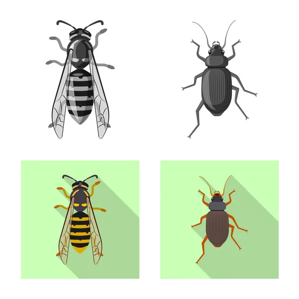 Illustrazione vettoriale del simbolo di insetti e mosche. Raccolta di illustrazione vettoriale di insetti ed elementi . — Vettoriale Stock