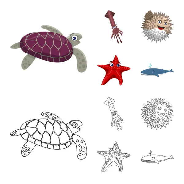 Diseño vectorial del icono del mar y los animales. Colección de mar y vector marino icono para stock . — Vector de stock