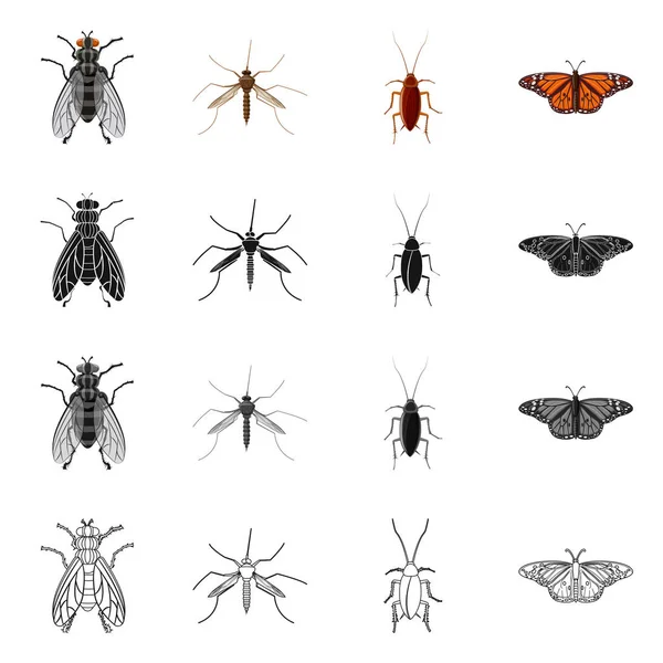 곤충 및 비행 상징의 고립 된 개체입니다. 주식에 대 한 곤충 및 요소 벡터 아이콘의 컬렉션. — 스톡 벡터