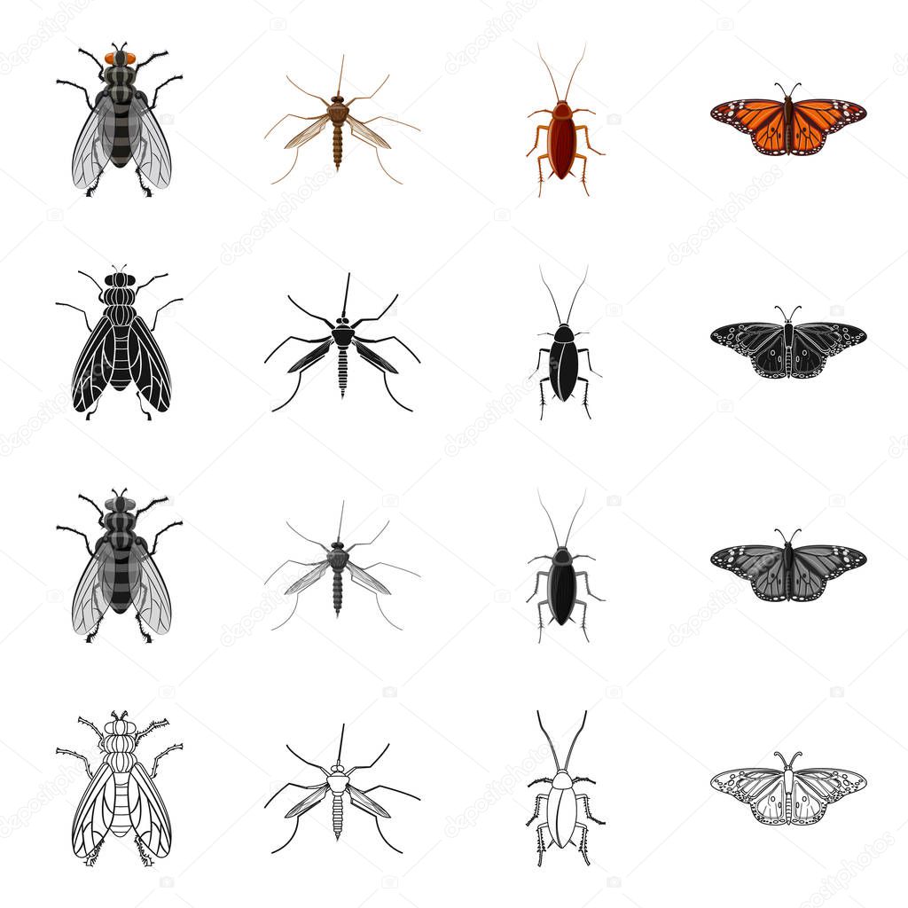 Vector design of insect and fly sign. Set of insect and element stock symbol for web.