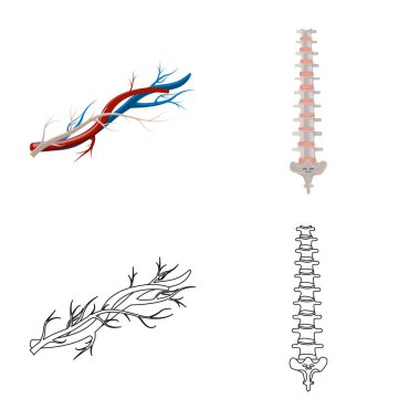 Vücut ve insan logo yalıtılmış nesne. Vücut ve hisse senedi için tıbbi vektör ikon koleksiyonu.