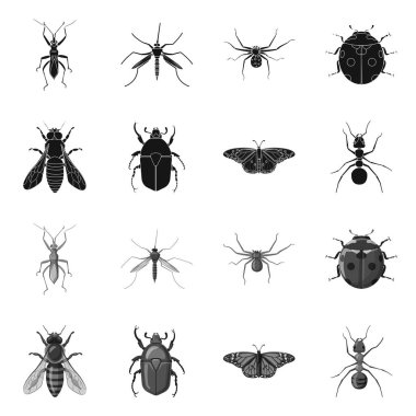 Böcek ve sinek simge vektör tasarımı. Böcek ve öğe hisse senedi vektör çizim seti.