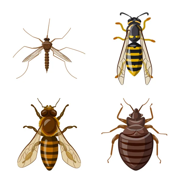 Objeto isolado de inseto e logotipo da mosca. Coleção de ícone de inseto e elemento vetorial para estoque . — Vetor de Stock
