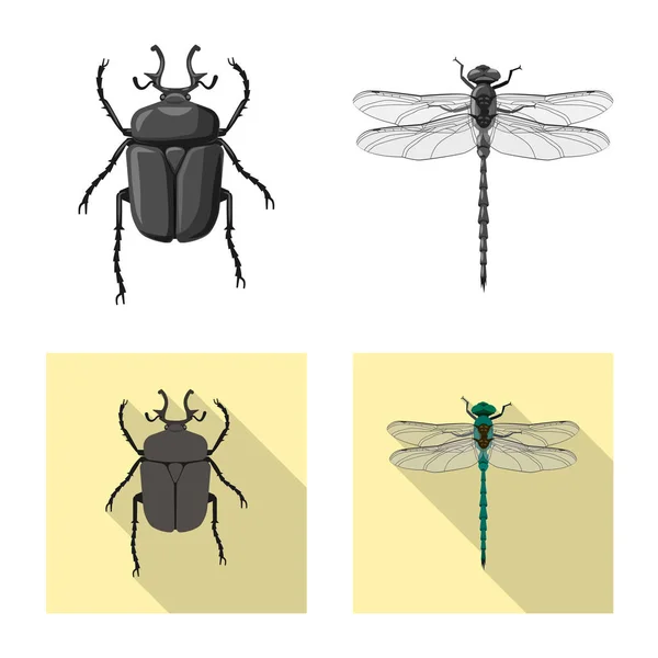 Ilustración vectorial del icono de insectos y moscas. Colección de insectos y elemento vector icono para stock . — Archivo Imágenes Vectoriales