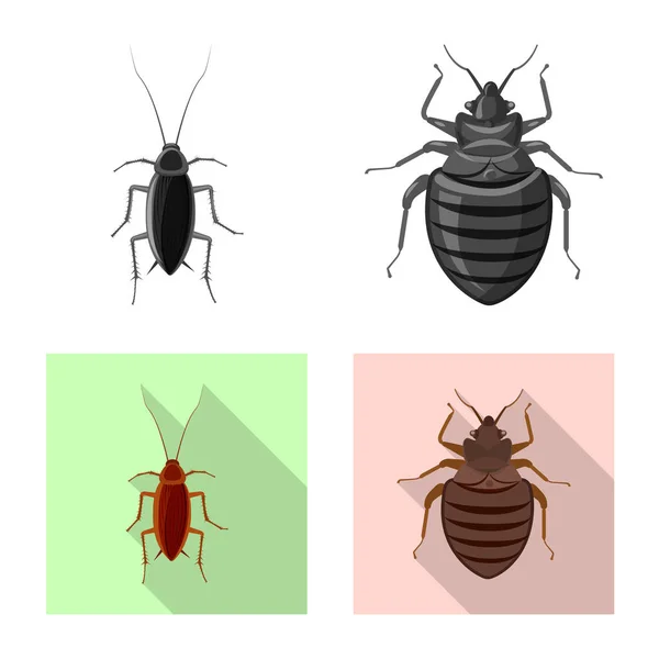 Illustration vectorielle du symbole insecte et mouche. Ensemble d'icône vectorielle d'insecte et d'élément pour le stock . — Image vectorielle