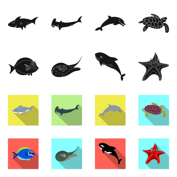 Objeto aislado de mar y signo animal. Colección de símbolo de stock marino y marino para web . — Vector de stock