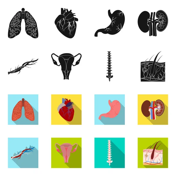 Diseño vectorial de cuerpo y símbolo humano. Colección de ilustración de vectores de cuerpo y stock médico . — Vector de stock