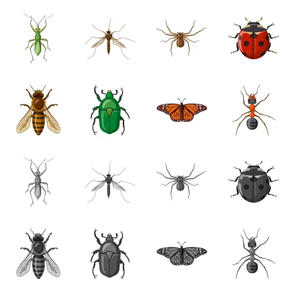 Geïsoleerde object van insecten en vliegen symbool. Set insect en element aandelensymbool voor web. — Stockvector