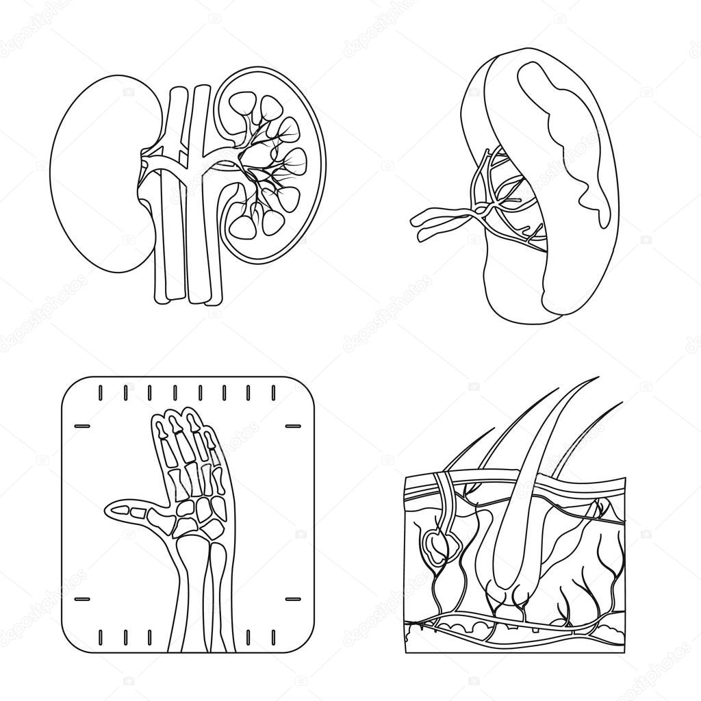 Isolated object of body and human logo. Collection of body and medical stock vector illustration.