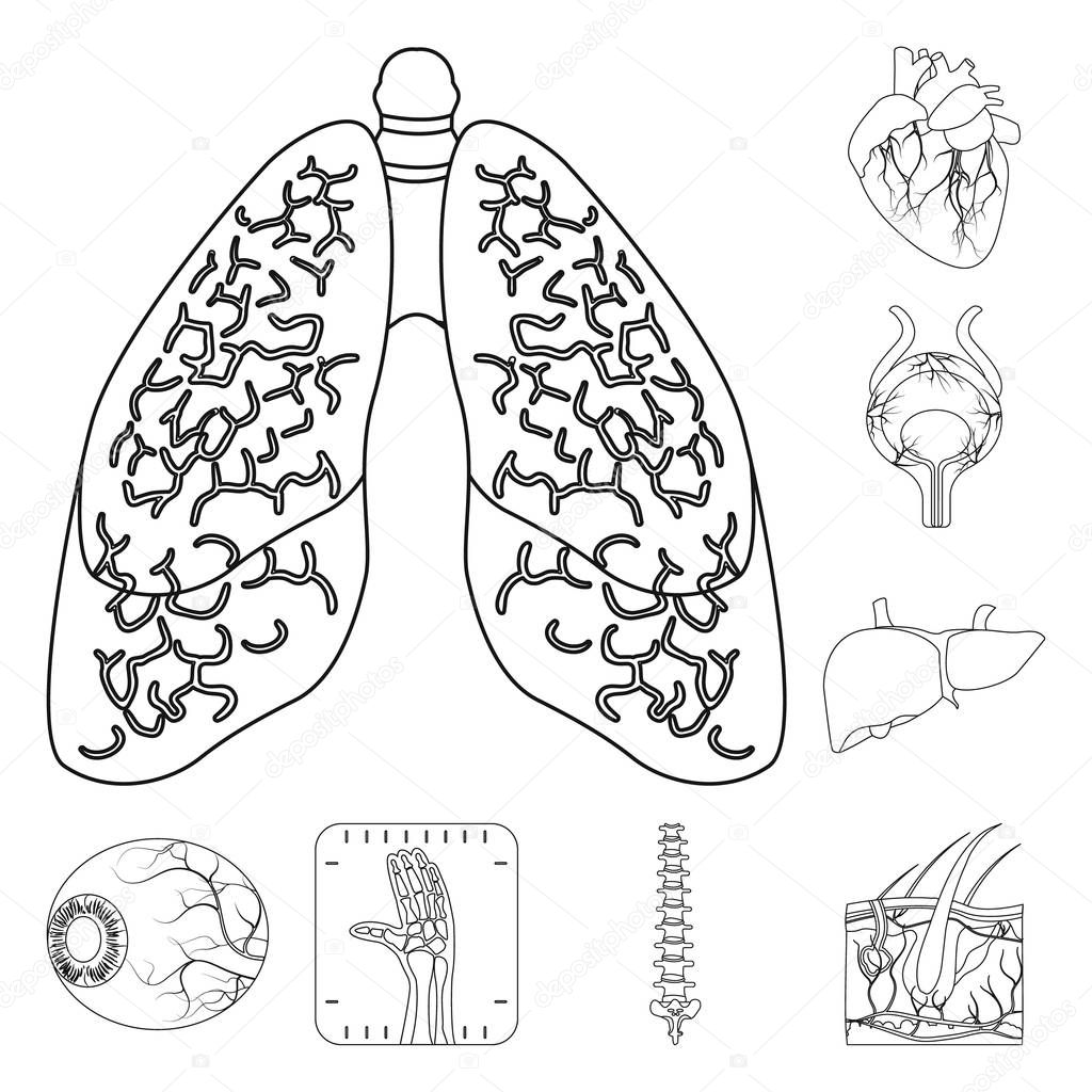 Isolated object of body and human logo. Collection of body and medical stock symbol for web.