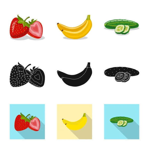 Vector design of vegetable and fruit icon. Collection of vegetable and vegetarian vector icon for stock. — Stock Vector