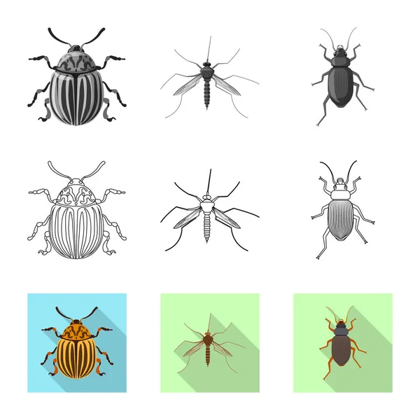 Geïsoleerde object van insecten en vliegen symbool. Set insect en element voorraad vectorillustratie. — Stockvector