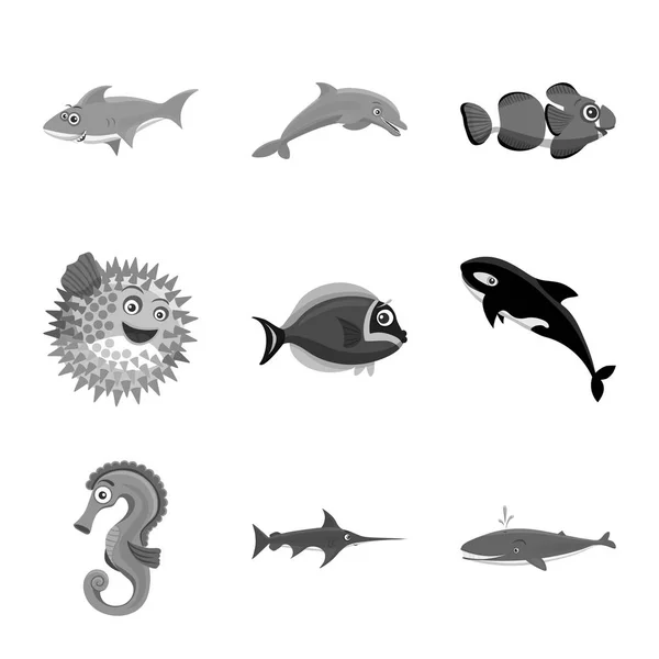 Diseño vectorial de mar y símbolo animal. Colección de ilustración de vectores marinos y marinos . — Vector de stock