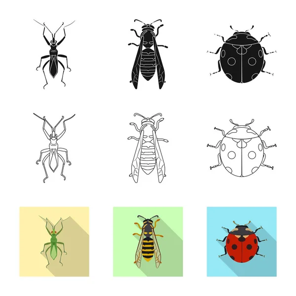 Projekt wektor logo owadów i mucha. Kolekcja owadów i element Stockowa ilustracja wektorowa. — Wektor stockowy