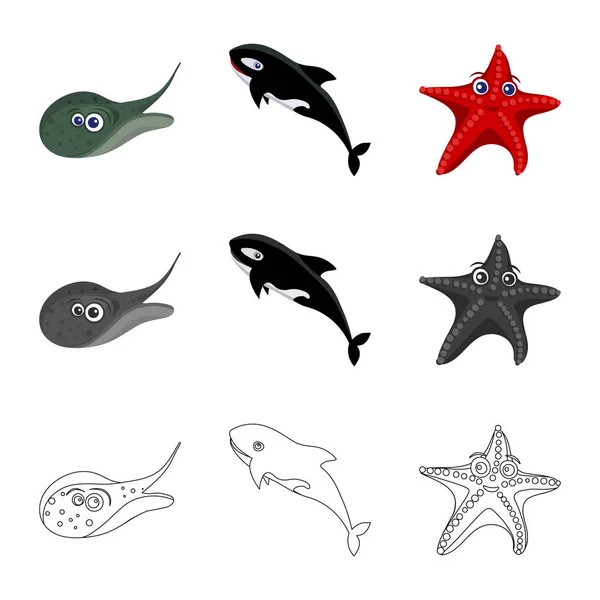 Objeto aislado del icono del mar y los animales. Colección de símbolo de stock marino y marino para web . — Vector de stock